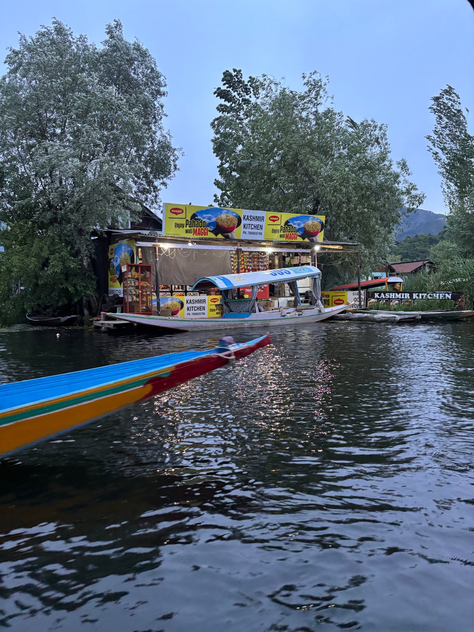 Kashmir with Family: Srinagar, Gulmarg, Sonmarg & Pahalgam - An Insider’s Guide by Travel and Live