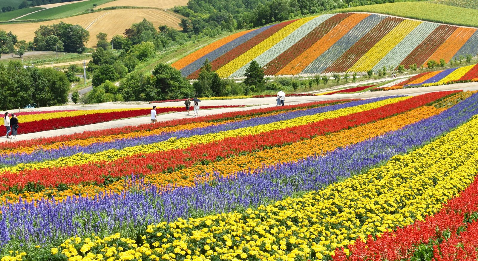 Japan Travel Guide for Indians photo gallery - Travel and Live