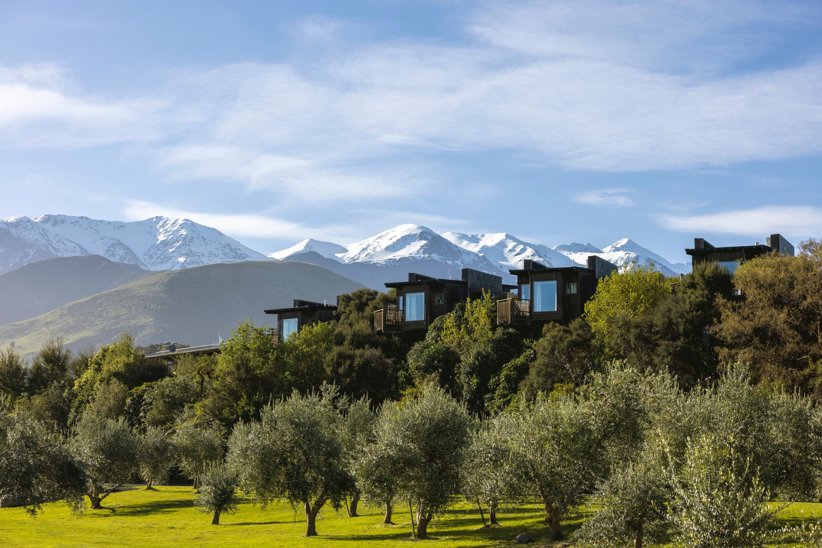 New Zealand Tour Packages from India: Best Places to Cover photo gallery - Travel and Live