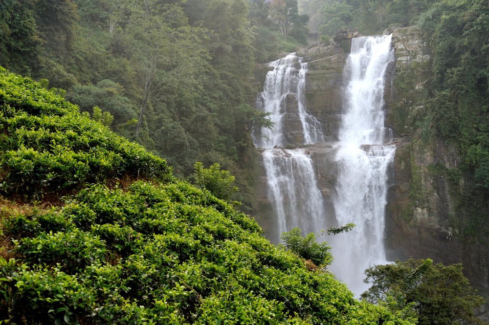 The majestic Sea of Milk waterfalls located in the jungle