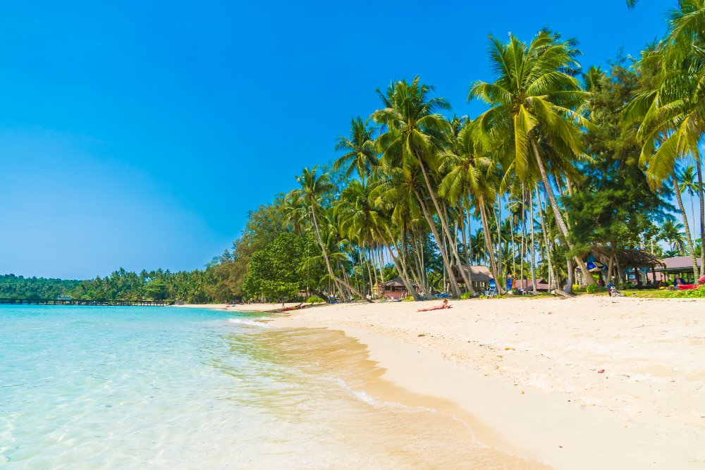 Serene and clean beaches perfect for luxury family vacations