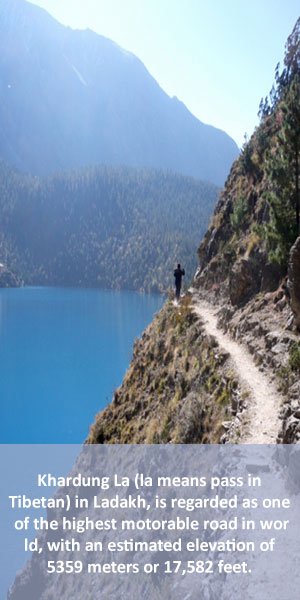 my travel agency