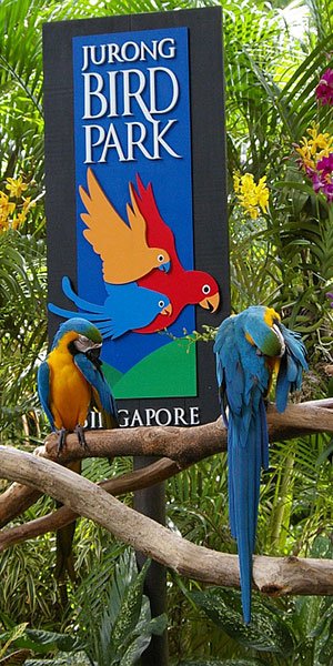 my travel agency